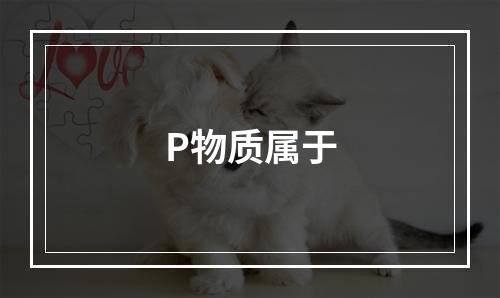 P物质属于