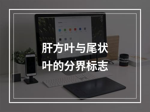 肝方叶与尾状叶的分界标志