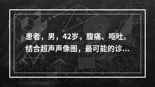 患者，男，42岁，腹痛、呕吐。结合超声声像图，最可能的诊断是