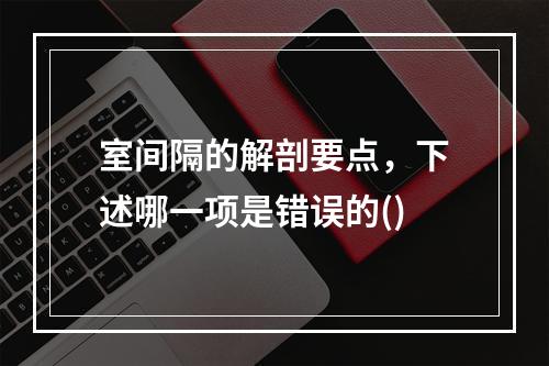 室间隔的解剖要点，下述哪一项是错误的()