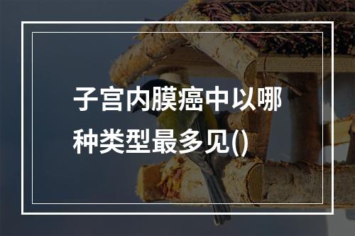 子宫内膜癌中以哪种类型最多见()