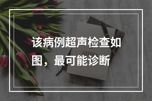 该病例超声检查如图，最可能诊断