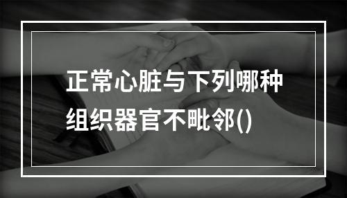 正常心脏与下列哪种组织器官不毗邻()