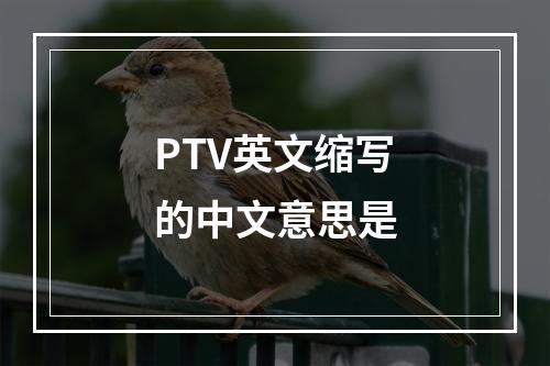 PTV英文缩写的中文意思是