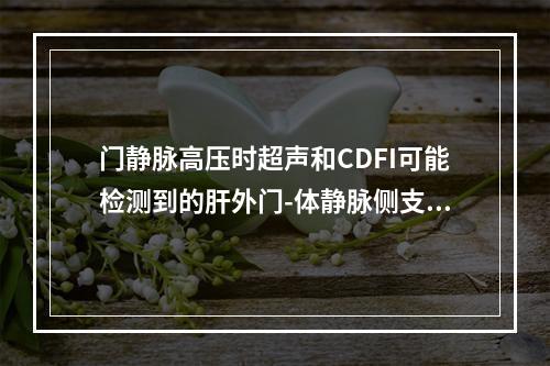 门静脉高压时超声和CDFI可能检测到的肝外门-体静脉侧支循环