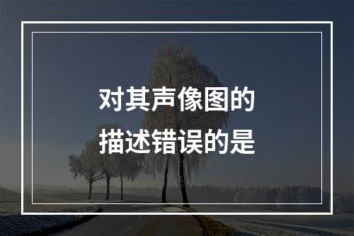 对其声像图的描述错误的是