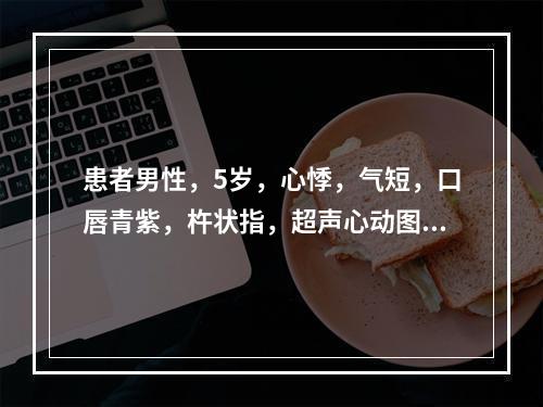 患者男性，5岁，心悸，气短，口唇青紫，杵状指，超声心动图诊断