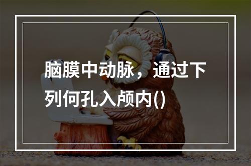 脑膜中动脉，通过下列何孔入颅内()