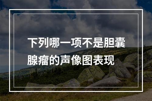 下列哪一项不是胆囊腺瘤的声像图表现