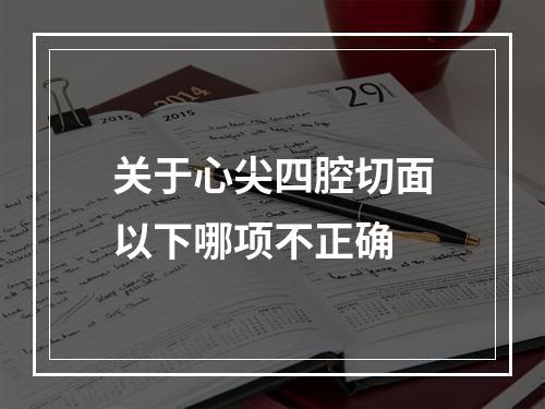 关于心尖四腔切面以下哪项不正确