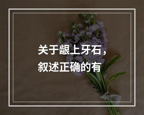 关于龈上牙石，叙述正确的有