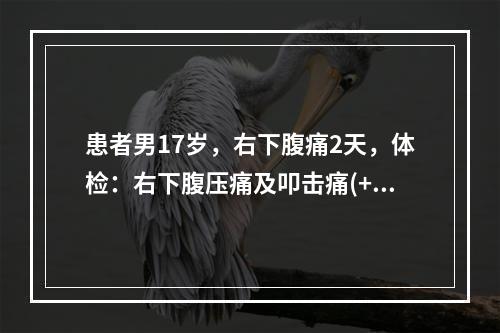 患者男17岁，右下腹痛2天，体检：右下腹压痛及叩击痛(+)。