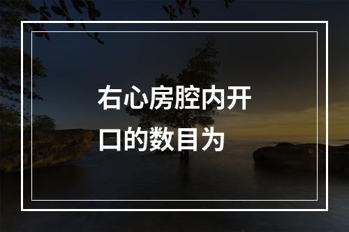 右心房腔内开口的数目为