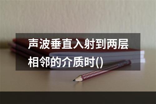 声波垂直入射到两层相邻的介质时()