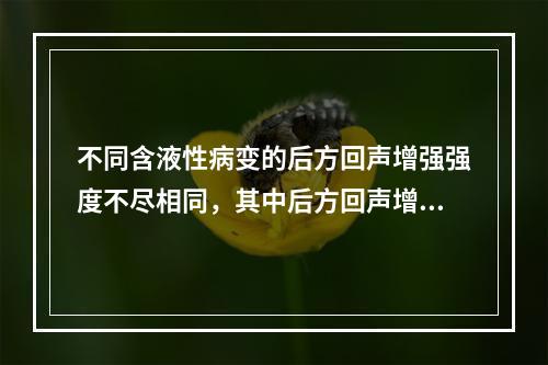 不同含液性病变的后方回声增强强度不尽相同，其中后方回声增强相