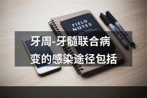 牙周-牙髓联合病变的感染途径包括