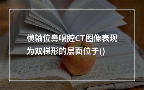 横轴位鼻咽腔CT图像表现为双梯形的层面位于()