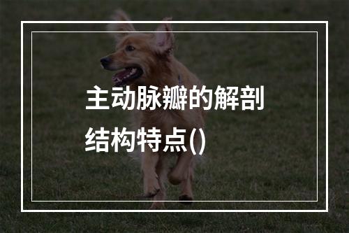 主动脉瓣的解剖结构特点()