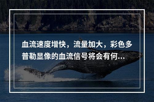 血流速度增快，流量加大，彩色多普勒显像的血流信号将会有何变化