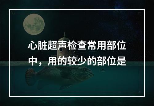 心脏超声检查常用部位中，用的较少的部位是