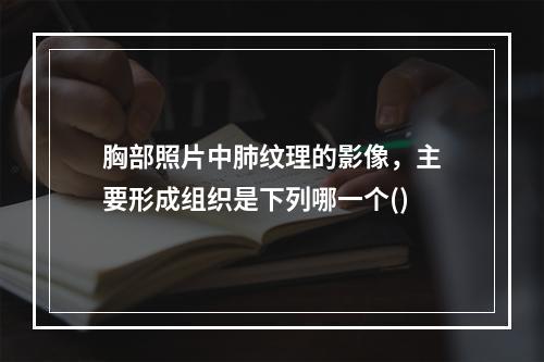 胸部照片中肺纹理的影像，主要形成组织是下列哪一个()