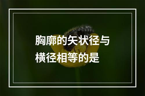 胸廓的矢状径与横径相等的是