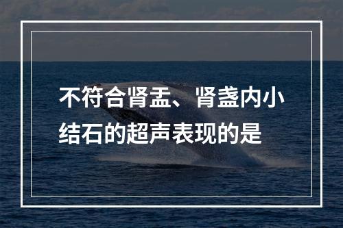 不符合肾盂、肾盏内小结石的超声表现的是