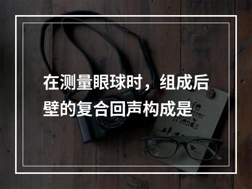 在测量眼球时，组成后壁的复合回声构成是