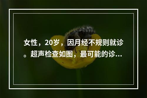 女性，20岁，因月经不规则就诊。超声检查如图，最可能的诊断为