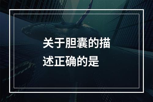 关于胆囊的描述正确的是