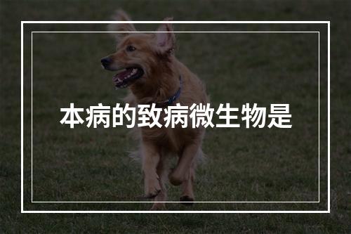 本病的致病微生物是