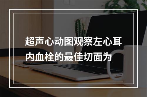 超声心动图观察左心耳内血栓的最佳切面为