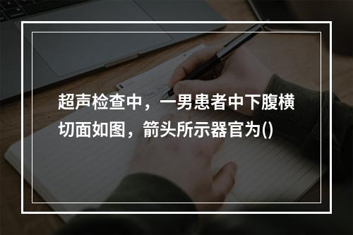 超声检查中，一男患者中下腹横切面如图，箭头所示器官为()