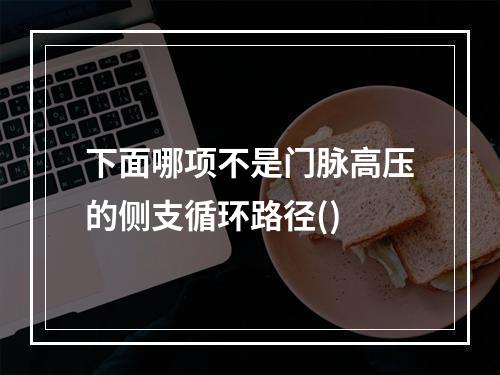 下面哪项不是门脉高压的侧支循环路径()