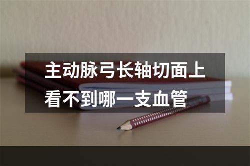 主动脉弓长轴切面上看不到哪一支血管