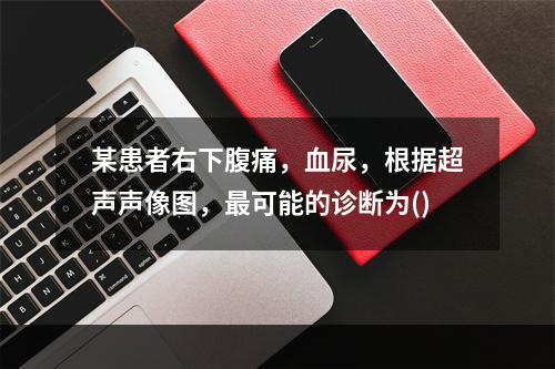 某患者右下腹痛，血尿，根据超声声像图，最可能的诊断为()