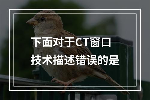 下面对于CT窗口技术描述错误的是