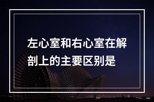 左心室和右心室在解剖上的主要区别是