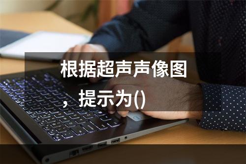 根据超声声像图，提示为()