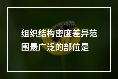 组织结构密度差异范围最广泛的部位是