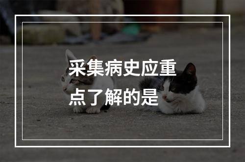 采集病史应重点了解的是