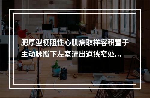 肥厚型梗阻性心肌病取样容积置于主动脉瓣下左室流出道狭窄处，收