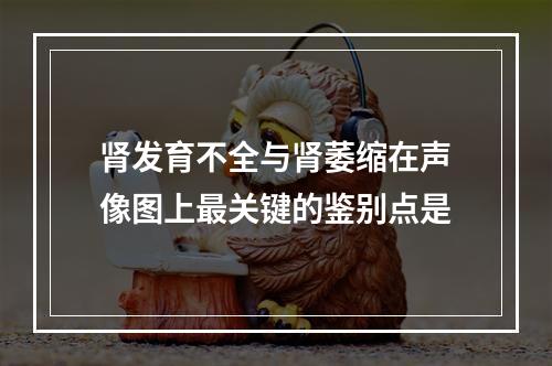 肾发育不全与肾萎缩在声像图上最关键的鉴别点是