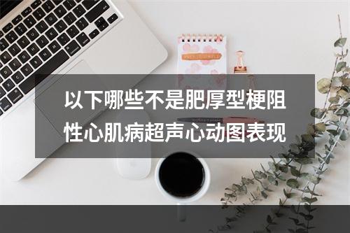 以下哪些不是肥厚型梗阻性心肌病超声心动图表现