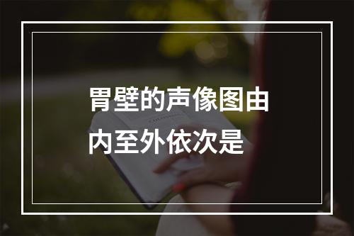 胃壁的声像图由内至外依次是