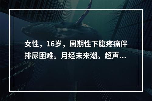 女性，16岁，周期性下腹疼痛伴排尿困难。月经未来潮。超声检查