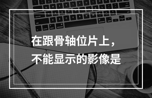 在跟骨轴位片上，不能显示的影像是