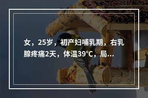 女，25岁，初产妇哺乳期，右乳腺疼痛2天，体温39℃，局部有