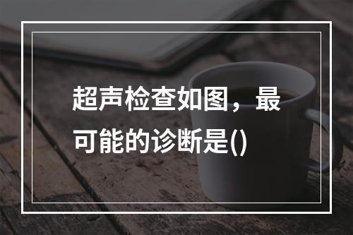 超声检查如图，最可能的诊断是()