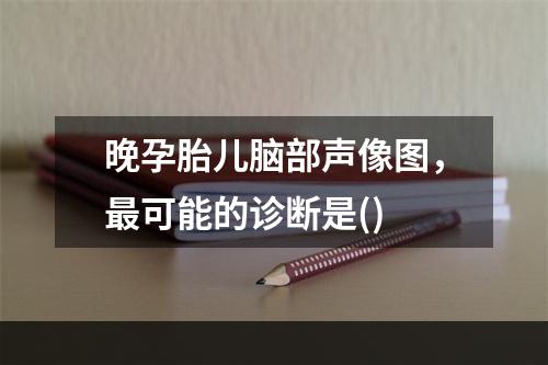 晚孕胎儿脑部声像图，最可能的诊断是()